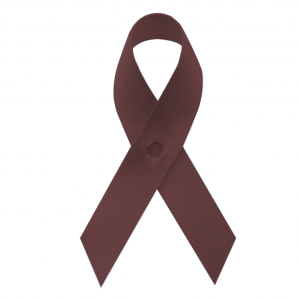 brown fabric awareness ribbons with safety pins, included, but not attached