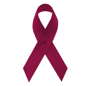 burgundy fabric awareness ribbons with safety pins, included, but not attached