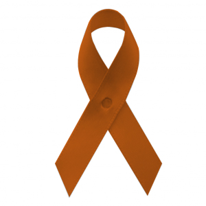 orange fabric awareness ribbons with safety pins, included, but not attached